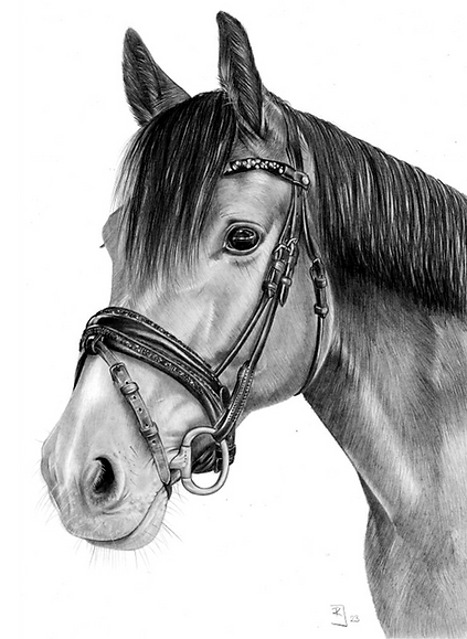 Rieke Jöhnk Portraitzeichnungen