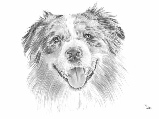 Rieke Jöhnk Portraitzeichnungen